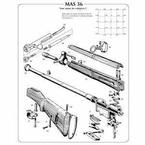 ECLATE MAS 36