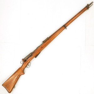 SCHMIDT RUBIN   11/96