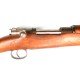GARL GUSTAFS     1896